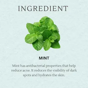 สบู่ก้อนสำหรับอาบน้ำสมุนไพรมิ้นท์สดชื่นสินค้าตราห้างสบู่ทำความสะอาดผิวจากธรรมชาติสำหรับดูแลผิวหน้าและผิวกาย - Product Image 5