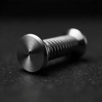 Vis moletée à haute précision en aluminium anodisé sur mesure, disponible en acier inoxydable, laiton, nickel, ovale, nylon