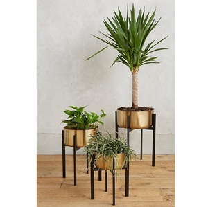 High Demand Handcrafted Rust-Free Iron Metal Flower Planter <b>Engraving</b> for Garden Home Decoration Available Bulk Quantity India - Product Image 4