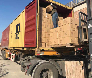 Vente en gros Globe naturel en forme d'éléphant du Pakistan de l'Himalaya Lampe au sel de roche Lampe au sel en forme d'animal - Product Image 5