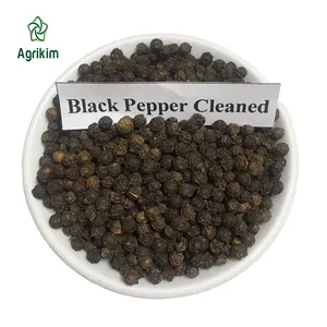 [special product] Whole Black Pepper 200/300/400/500/550/570/580/600GL FAQ MC with high quality and the best price +84363565928