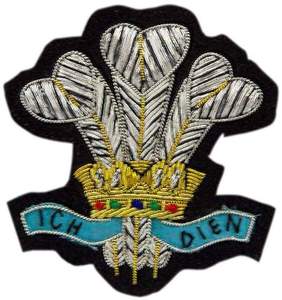 OEM Top Class precio de fábrica bordado hecho a mano tanque real regimiento Blazer lingotes de alambre cosido para uniformes personalizados - Product Image 4