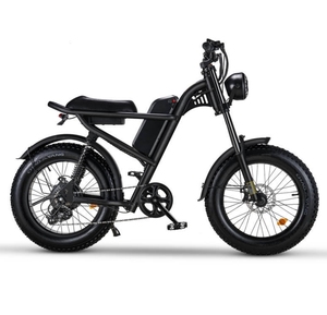 NEW Riding'time Z8 Brushless <b>Electric</b> <b>Mountain</b> <b>Bike</b> 48V 15.6A 500W >80km/h - Product Image 3