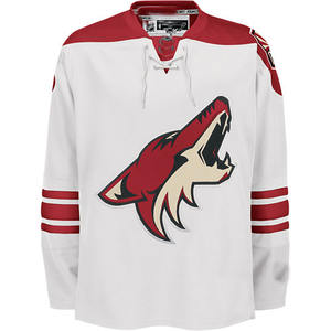 Maillots de hockey sur glace en polyester personnalisés unisexes, vêtements de sport de haute qualité avec broderie et impression pour adultes et équipes - Product Image 1