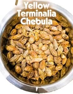 Mirobaran Premium Chebulic Myrobalan fruta seca entera de la región montañosa del oeste de Maharashtra producto agrícola - Product Image 4