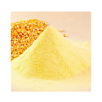 Amidon de maïs de haute qualité/amidon de tapioca Farine de maïs sans gluten Amidon pour la qualité alimentaire