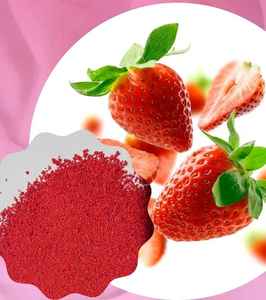 Poudre de fraise séchée par pulvérisation 100% naturelle de haute qualité de qualité supérieure avec des ventes de prix abordables fabrique en Inde - Product Image 3