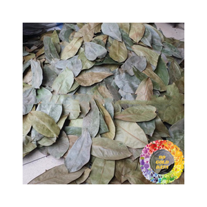 Feuilles de corossol séchées de couleur naturelle, texture lisse, traitement propre, feuilles de corossol séchées du Vietnam, export en vrac, idéal pour le thé - Product Image 1