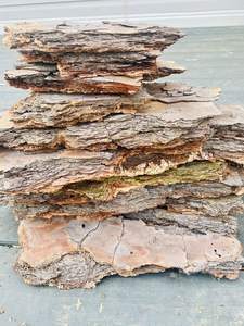 Écorce de pin de haute qualité à prix compétitif du Vietnam - Product Image 6