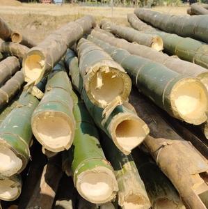 เสาไม้ไผ่ดิบธรรมชาติเป็นมิตรต่อสิ่งแวดล้อมสำหรับสวนรั้วก่อสร้าง - Product Image 1