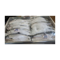Saumon entier congelé de qualité supérieure en gros à bas prix (produits de la mer) en vrac