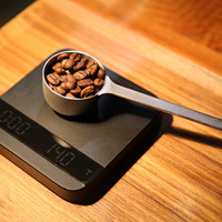 Duurzame roestvrijstalen koffielepel, 12-15g capaciteit, draagbaar, milieuvriendelijk, lange steel, voor gemalen koffie, theeblaadjes, op maat gemaakt