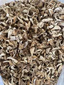 Champignons de la mer séchés du Vietnam, qualité supérieure, prêts à l'exportation // Mme Sophie - Product Image 4