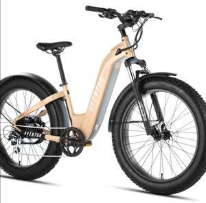 NOUVEAU Vélo Électrique 2025 Aventure 3 à Cadre en Acier, Personnalisable OEM, Garantie 3 Ans, Origine USA - Product Image 1