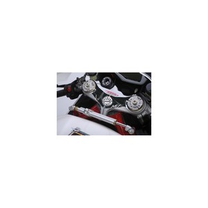 Adesivo Protettivo in Gel 3D per Piastra Manubrio Moto MV AGUSTA F4 2010-2019 - Product Image 1