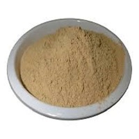 Poudre d'extrait d'herbe de Coleus Forskohlii de l'Himalaya 20% Forskolin Racine Liquide Sauvage Cultivé Halal Certifié Tambour Emballé