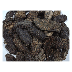 PREMIUM DRIED NONI FRUIT FROM VIETNAM//COMPETITIVE PRICE//HIGH <b>QUALITY</b>//WHOLESALE WORLDWIDE - Product Image 5