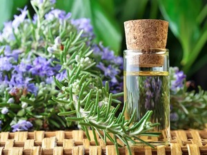 2024 Wholesale 100% Pure Natural Organic Rosemary Essential Oil Steam Distilled for Curly Hair Repair Loss Prevention Private - Product Image 3