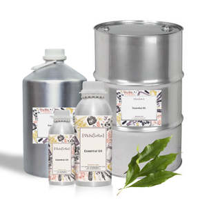 Aceite Esencial de Hoja de Clavo 100% Puro (Prensado en Frío y Destilado al Vapor), Extracto de Planta, Aceite Nutritivo Corporal para Todo Tipo de Piel - Product Image 2