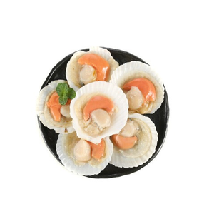 Meilleur prix pour la viande de coquille Saint-Jacques congelée |   Coquilles de coquillages congelées en vrac disponibles avec emballage personnalisé - Product Image 4