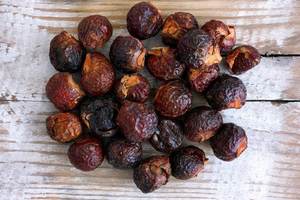 Extracto de CO2 de nuez de jabón - Product Image 2