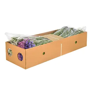 Premium Kenyan Fresh Cut Statice Mixed Box 3+ Colours for Retail and Wholesale Fresh Cut Flowers 62cm Length Christmas Flowers