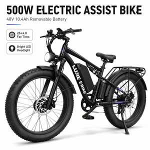 Vélo électrique LUDIE EBIKE à pneus larges de 26 pouces - Product Image 1