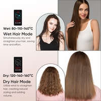 Nouveauté 2026 : Sèche-cheveux et lisseur électrique 2-en-1 pour cheveux humides et secs, air haute vitesse sans chaleur, écran LCD