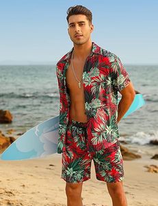 Ensembles de survêtements pour hommes Shorts Polos à fermeture éclair quart de tour Shorts inférieurs Tenues de sport Ensembles de survêtements d'été Ensembles courts décontractés hawaïens Confortables - Product Image 3