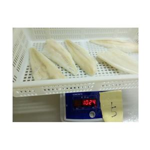 Precio Económico, Stock al por Mayor, Bacalao Atlántico Orgánico Congelado y Filetes envasados al Vacío, Entrega Rápida - Product Image 6