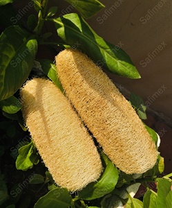 Jouets à mâcher naturels et biologiques en loofah de petite taille pour lapins, chats, chiens, oiseaux – Vente en gros, export directement de la ferme du Vietnam - Product Image 5