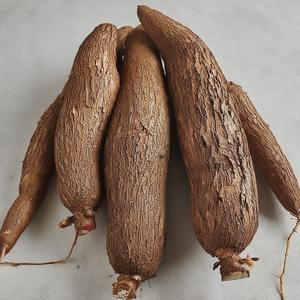 มันสำปะหลังสดอัดแน่นด้วยมันสำปะหลังสดมีเนื้อสัมผัสที่เข้มข้นเหมาะสำหรับการแปรรูปทางอุตสาหกรรมและการส่งออกขายส่ง - Product Image 6