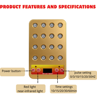Panneau de luminothérapie infrarouge portable USB rechargeable 660nm/850nm à lumière rouge avec 16 LED pour le soin du visage et le soulagement de la douleur