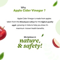 Natuurlijk voedingsmiddelkwaliteit kruidenextract appelazijnextract wit poeder 5% azijnzuur Halal/Kosher gecertificeerd