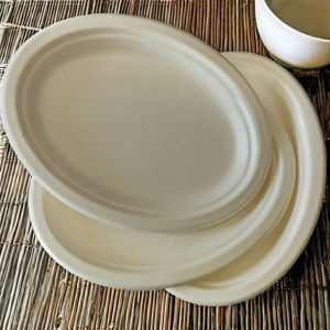 10 pulgadas x 8 pulgadas biodegradable desechable ecológico bagazo placa ovalada platos sin BPA personalizados - Product Image 3
