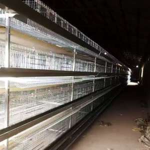 Equipo de jaula de capa automática de nueva condición para cría de aves de corral un tipo jaula de pollo galvanizada - Product Image 4