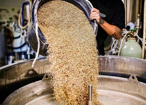 Matières premières résidus d'alcool/grains de brassage pour aliments pour animaux résidus d'alcool bon marché origine VietNam - Product Image 6