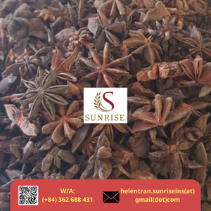La venta directa de fábrica más vendida de Vietnam, especias de anís estrellado roto de Casia cruda, precio barato seco - Product Image 4