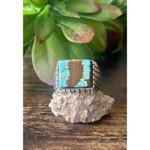 Trevor Jack Bezel Set <b>Turquoise</b> & Sterling Silver <b>Ring</b> Size 9.5 - Product Image 1