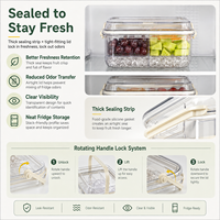 Gedeeld fruit-snack dienblad met ijscompartiment en deksel voor catering en groothandel