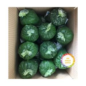 IQF มันสำปะหลังแช่แข็งใบจากเวียดนามจัดหาจำนวนมากสำหรับการใช้ทำอาหารการเกษตรและจัดจำหน่าย - Product Image 1