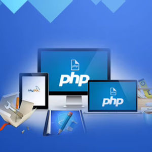 เสนอบริการนักพัฒนา PHP สำหรับการสร้างเว็บไซต์บรรจุอาหารของคุณด้วยโซลูชัน webcom - Product Image 1