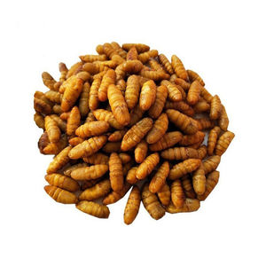 Farine de vermicelles de soie naturelle de haute qualité pour l'alimentation du bétail - Délicieux vermicelles de soie séchés - Product Image 3