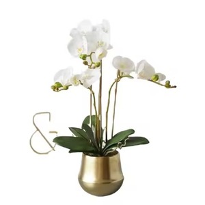 แจกันเหล็กรูปดอกไม้พร้อมหลอดใสเป็นมิตรกับสิ่งแวดล้อมของตกแต่งงานแต่งงานและบ้านดีไซน์ชายฝั่งสำหรับพื้นที่นั่งเล่นที่ทันสมัย - Product Image 6