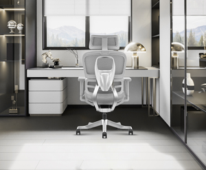 Ergonomic với thắt lưng hỗ trợ Ergonomic lưới văn phòng xoay Ghế bàn văn phòng - Product Image 2