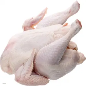 Available Clean Bulk Frozen Chicken Paws And Ready For Export