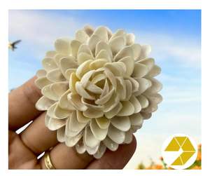 Flor de concha marina Natural hecha a mano para playa, decoración de boda, flor de concha marina, regalo costero para el hogar, recuerdo único de verano, elegancia atemporal - Product Image 2