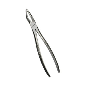 Pinzas de Extracción Dental para Raíces Superiores, de Acero Inoxidable, Instrumentos Quirúrgicos para Extracción de Dientes - Product Image 1