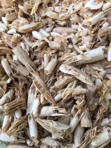 Polvo de cáscara de camarón para agricultura, alimentación Animal, Akina - Product Image 6