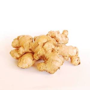 Jengibre Fresco Delicioso de la Mejor Calidad Orgánica Natural, Jengibre Joven, Sabor Original, Amarillo Natural, Cosecha 2020, Cultivo sin OMG - Product Image 1